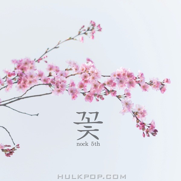 NOCK – Flower – Single