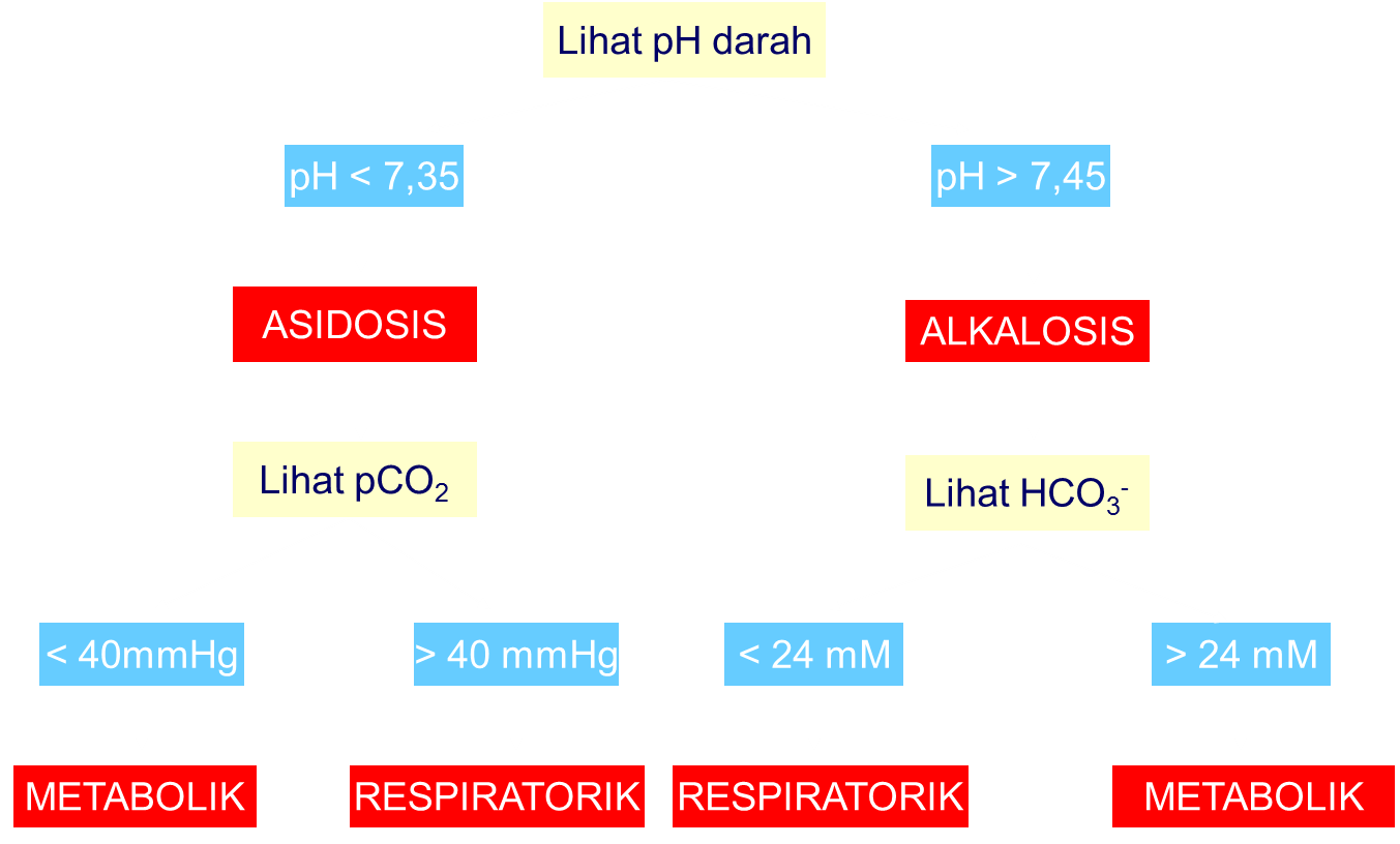 CONTOH INTERPRETASI ASAM BASA