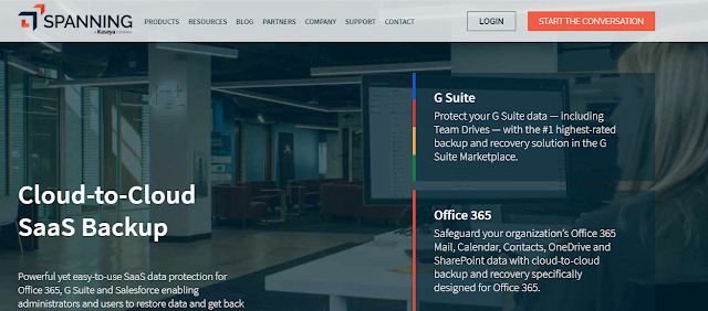 Spanning Cloud Backup Solution