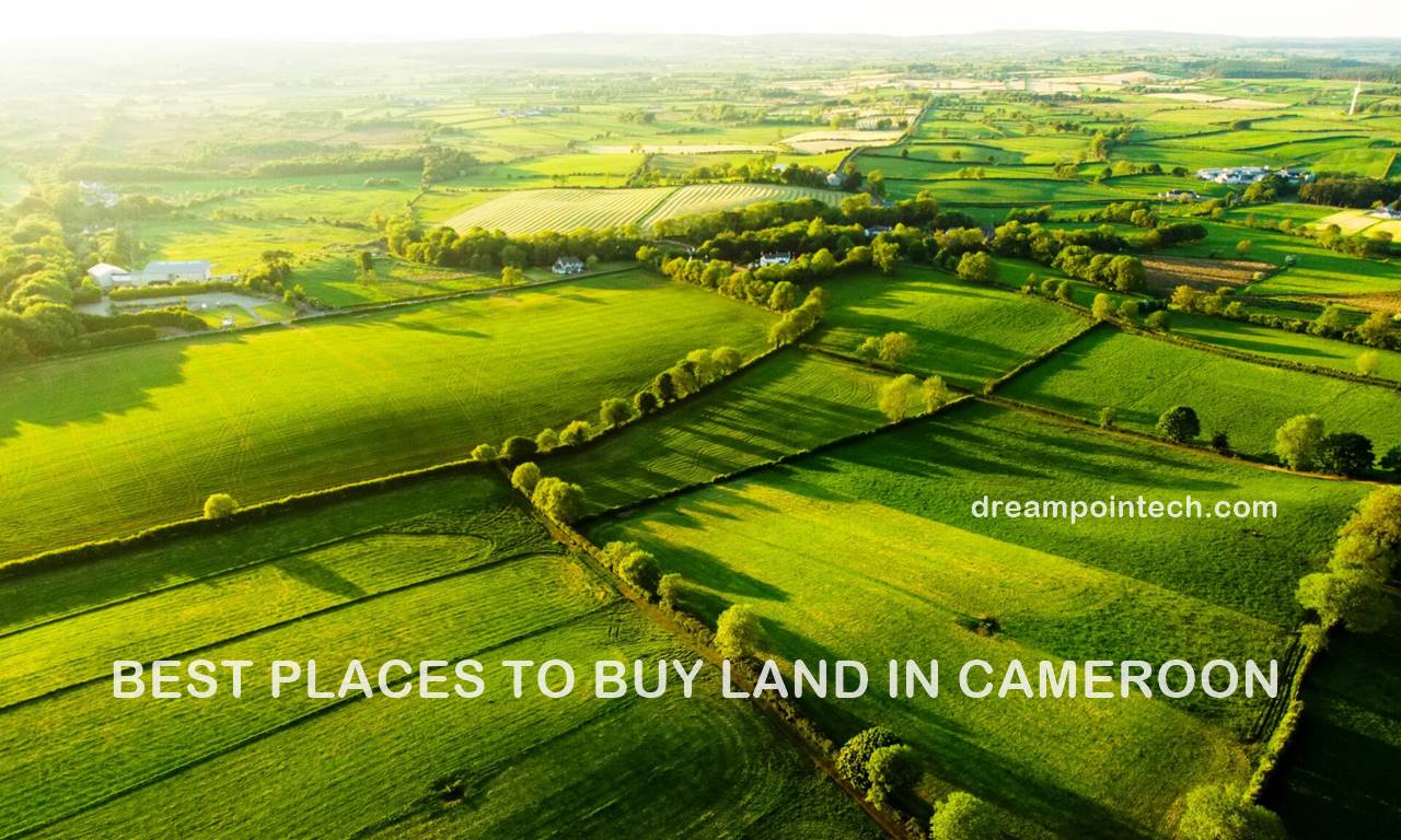 How to Buy Land In Cameroon 9 Legal Steps (Ultimate Guide)