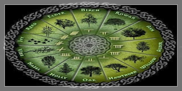 Beth-Luis-Nion - O Calendário Celta das Árvores
