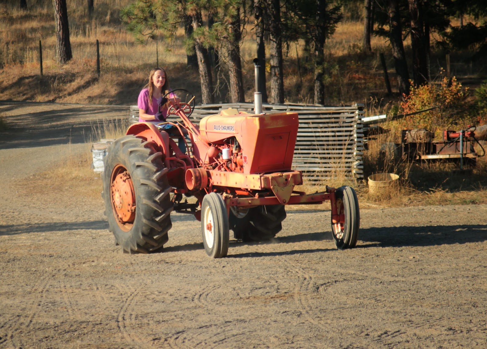 to the Country! Tractor Lessons