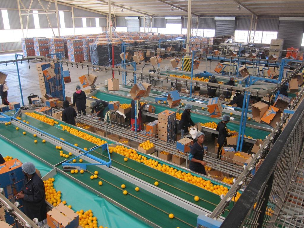 Postharvest Management Technologies