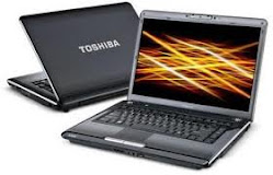 TOSHIBA SATELLITE M300-S4313