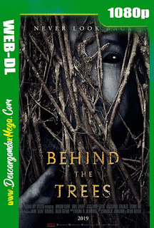  Behind the Trees (2019) 