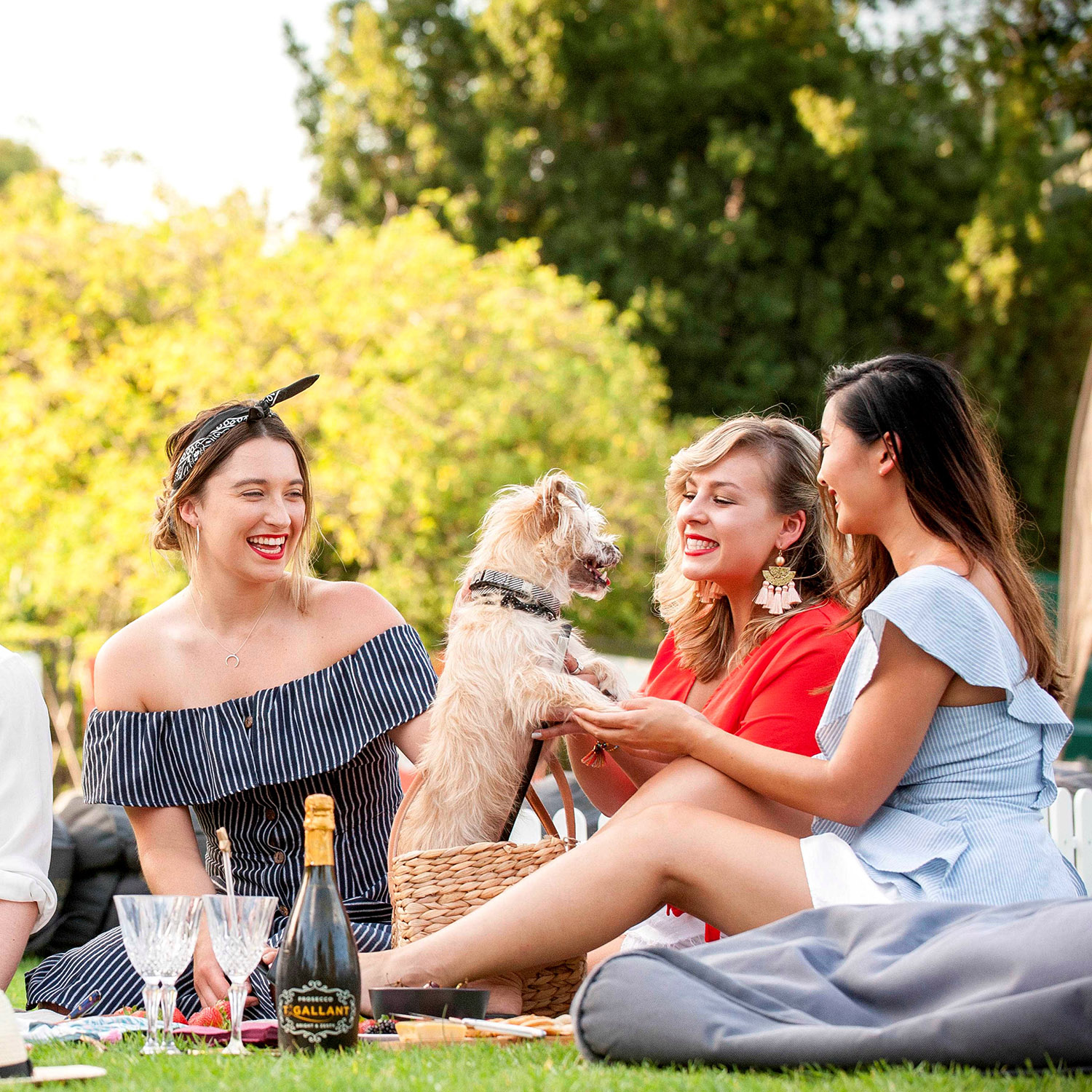 Best of Top Dog Film Festival at Moonlight Cinema February 29