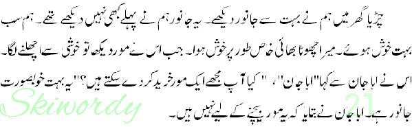 Paragraph no. 21 (From English Grammar Clas 10th Punjab) Translate Urdu