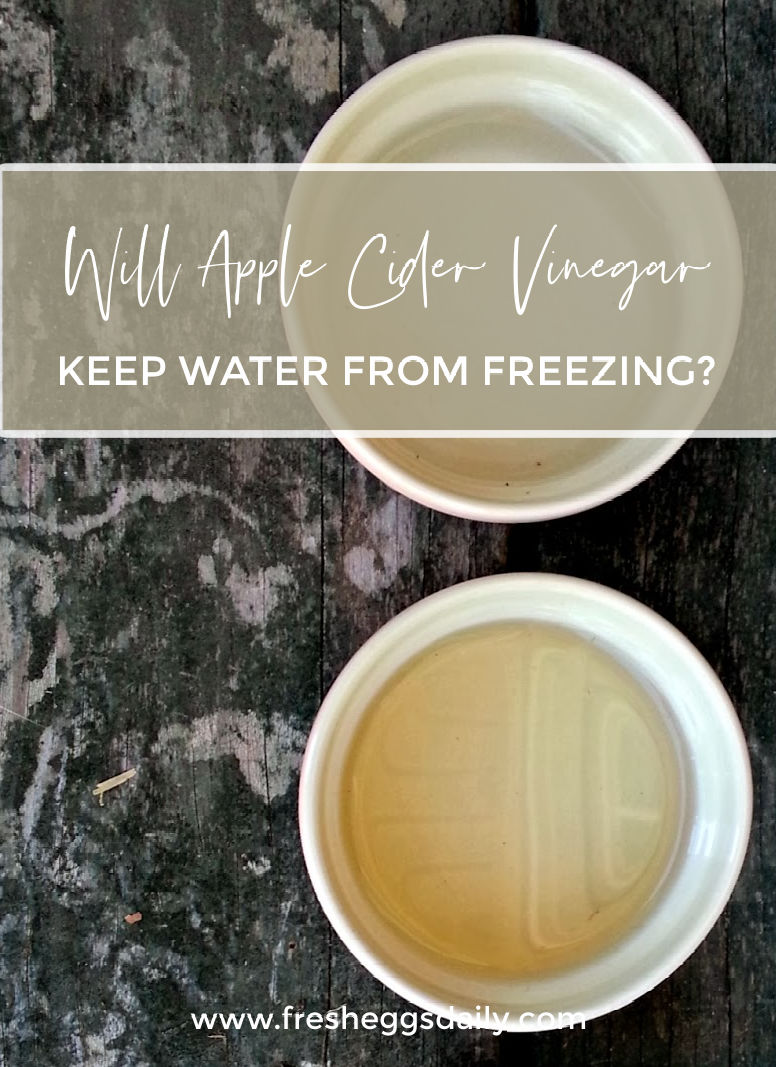 Does Apple Cider Vinegar Keep Water from Freezing? Fresh Eggs Daily