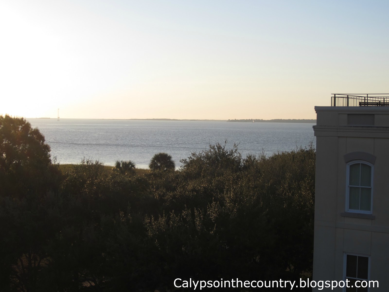 Charleston Views
