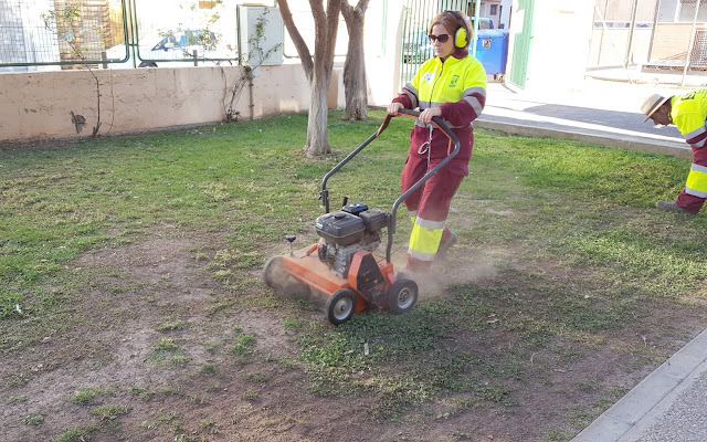Segado y escarificado de césped