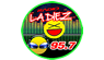 La Diez 95.7 FM