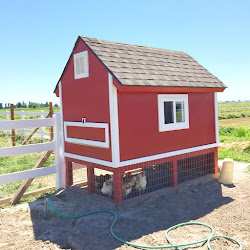 chicken coop diy pallet coops pallets barn plans build designs chickens backyard avisiontoremember tutorials vision remember via shelterness instructions built