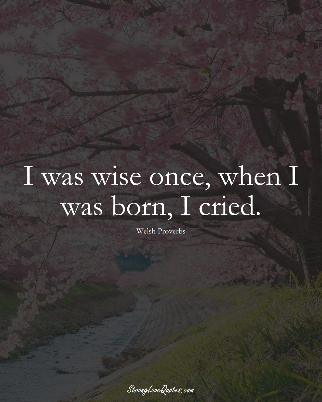 I was wise once, when I was born, I cried. (Welsh Sayings);  #EuropeanSayings