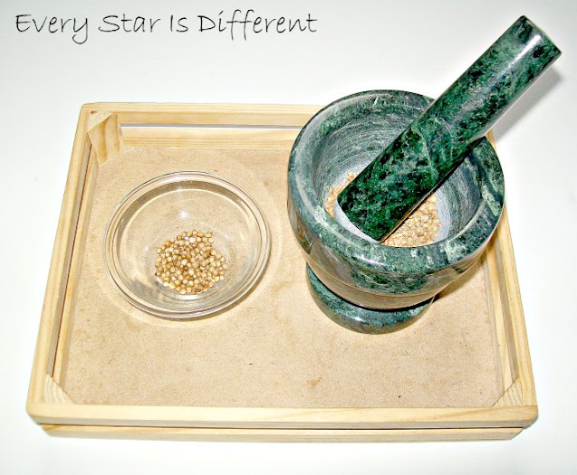 Montessori-inspired Africa Unit: Mortar and Pestle with Coriander