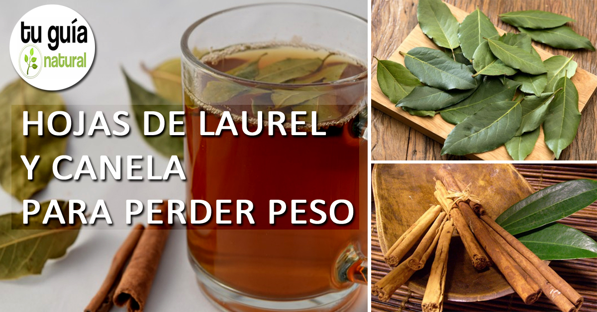 Hojas de laurel y canela para bajar de peso. ¿Cómo aprovechar los