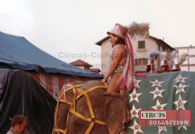 éléphant et girls en coulisse 