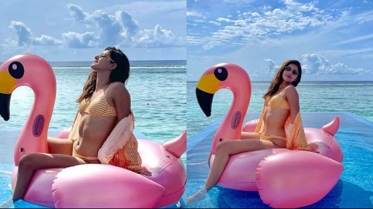 Actors Gossips: Ananya Panday posts drool-worthy pics in an orange bikini, rumored boyfriend Ishaan Khatter reacts