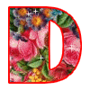 Alfabeto con Rosas de Colores. 