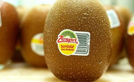 http://www.fruitnet.com/asiafruit/article/167297/middle-east-holding-more-zespri-fruit