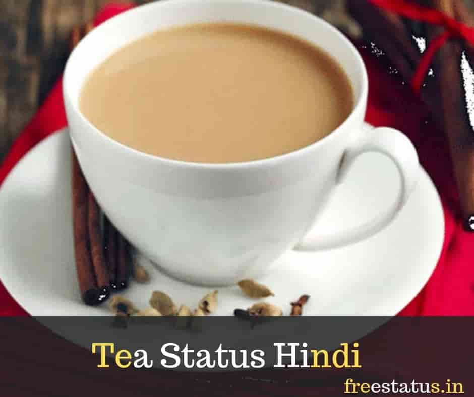 Best 40+ Tea Status Hindi 2023 / Chai Lover Status In Hindi
