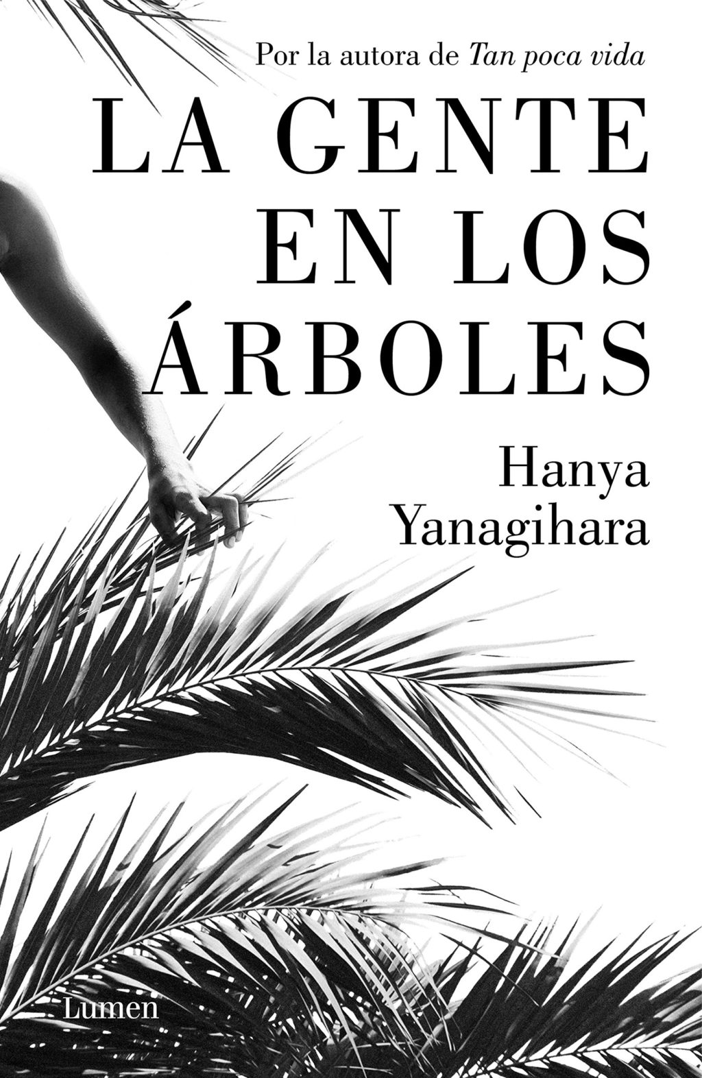 Escritoras de las que me leería hasta la lista de la compra (IV): Hanya  Yanagihara - Abril Camino