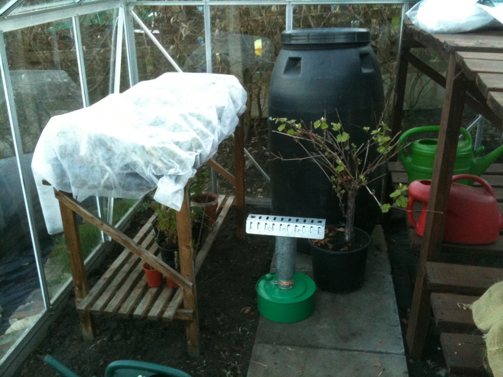 Tips for Keeping Your Plants Alive During A Cold Snap Life on Pig Row