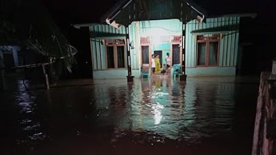 WALHI: Ilegal Logging, Galian C dan Tambang Batubara Penyebab Banjir di Rahul