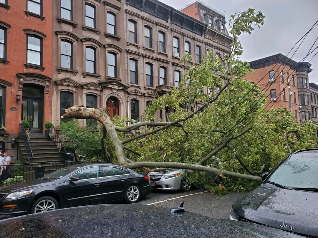 "Downed trees and wires in 35 locations"