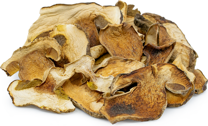 Dry mushroom supplier in Baramati | Biobritte mushroom center | Edible & Medicinal mushrooms