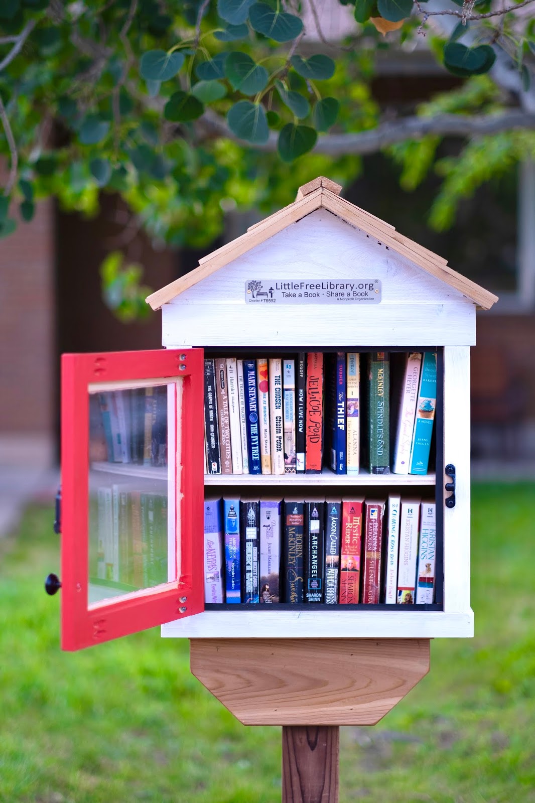 Angie's Little Free Library
