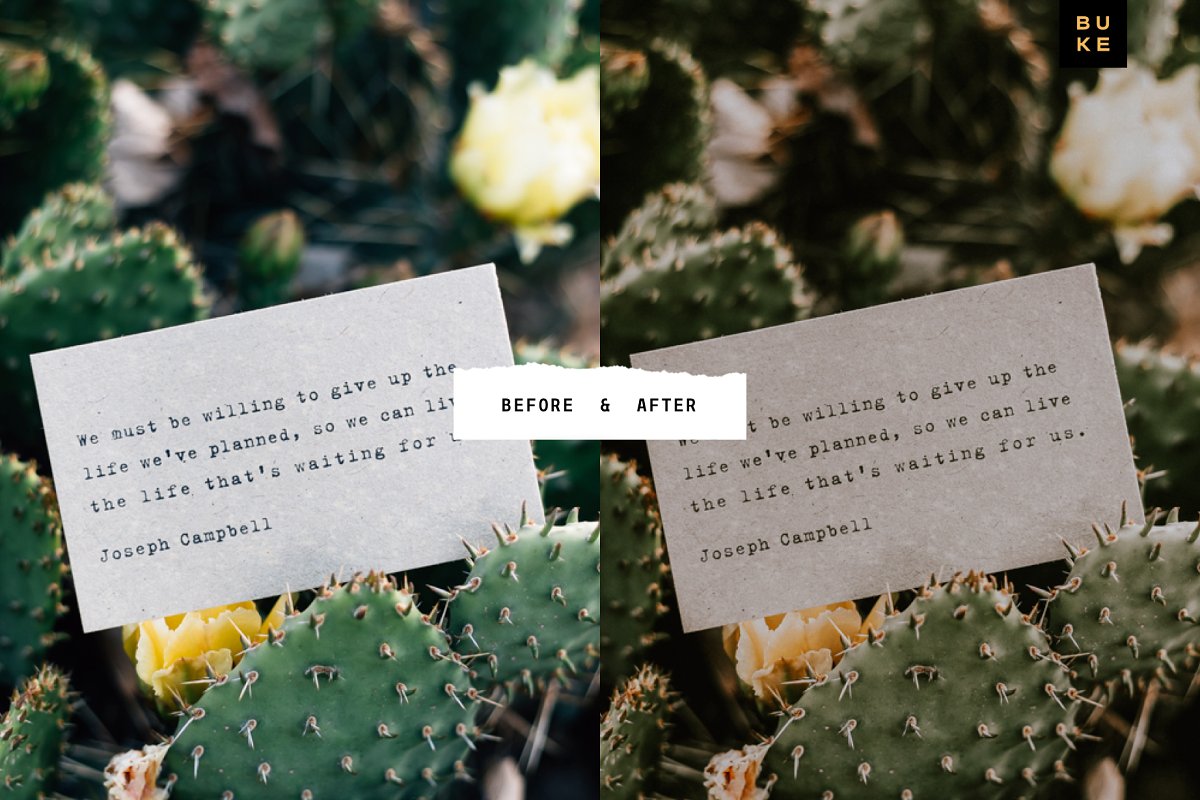 Augustina Lightroom Preset (XMP, DNG)