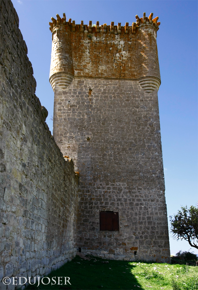 EDUJOSER CASTILLO DE GALVE DE SORBE (Guadalajara)