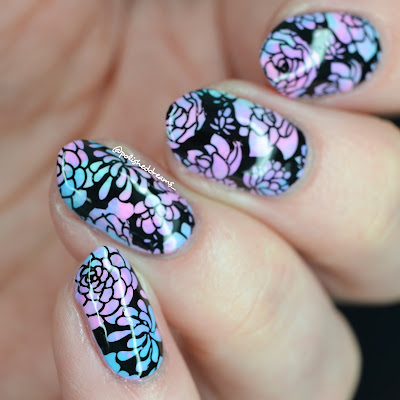 UberChic Beauty Succulents Negative Space by Polished Dreams