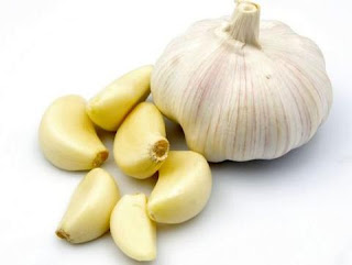Garlic is very useful for treating the dangerous factors that cause chronic stomach. A  piece of garlic can reduce blood pressure very quickly from daily meal. Garlic treats high cholesterol and high blood pressure and prevents the heart from heart disease from excessive blood pressure, as well as use of garlic prevent from other diseases.