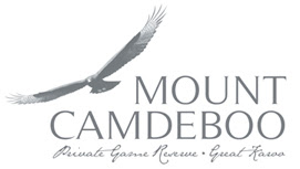 Mount Camdeboo