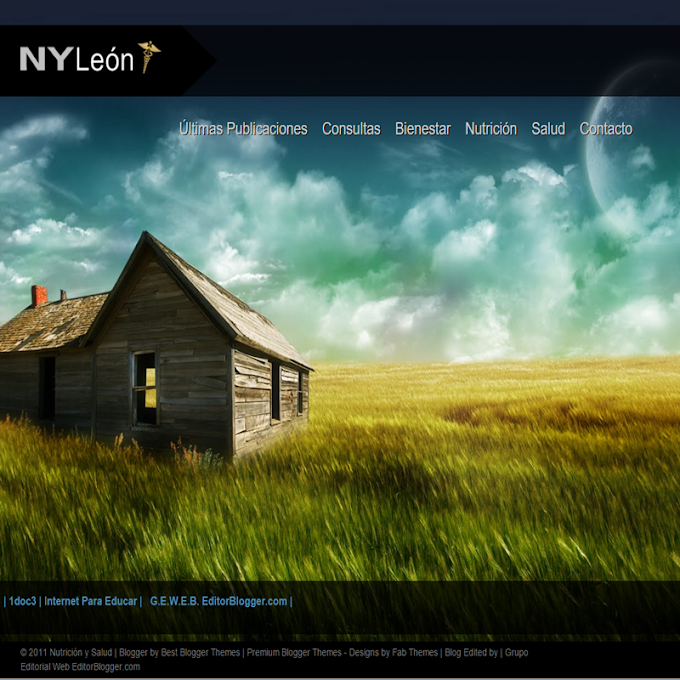 nylm.negociosyprofesionales.com