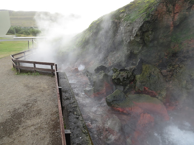 Día 14 (Deildartunguhver - Hraunfossar - Glymur) - Islandia Agosto 2014 (15 días recorriendo la Isla) (3)