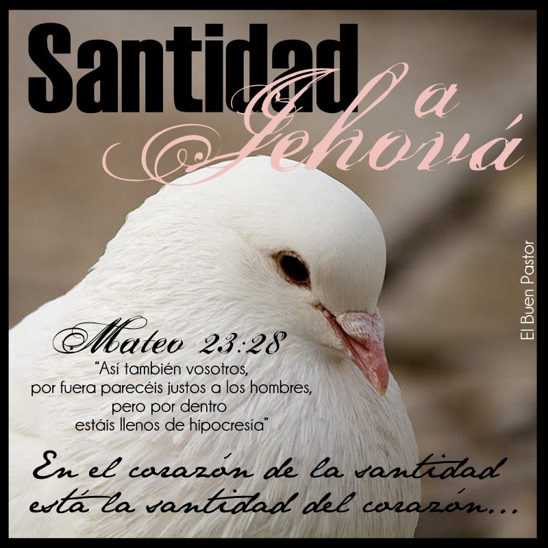 YO SOY EL BUEN PASTOR Mateo 2328