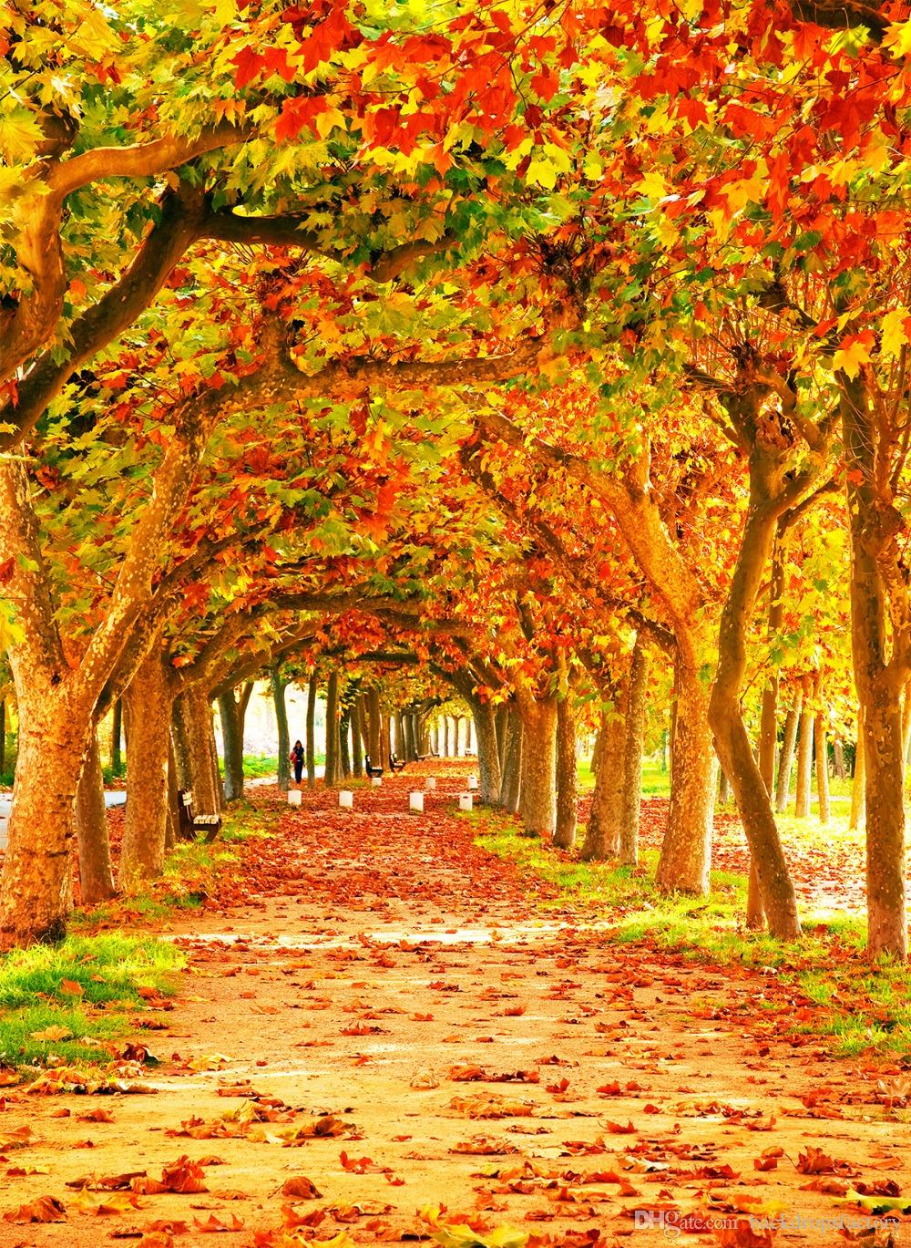 L’AUTUNNO DI ANTONIO VIVALDI