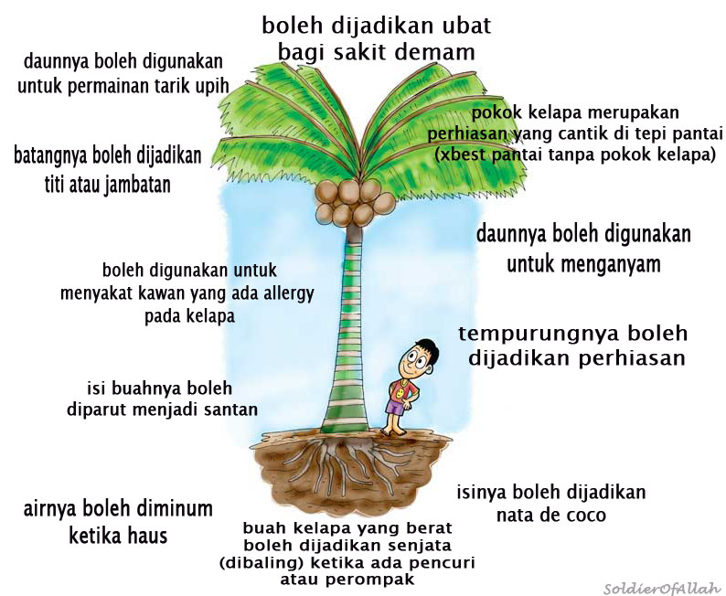S0ldier 0f Allah: pokok kelapa