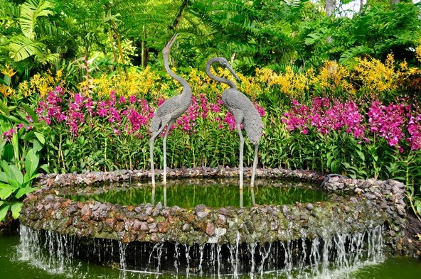Cara Membuat Desain Taman Anggrek Sederhana Tapi Indah Terbaru 2017