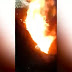 Guerra de Narcos en Brasil: Los hacen cavar su propia fosa, los acribillaron, queman y difunden el video como advertencia (Info + Video)