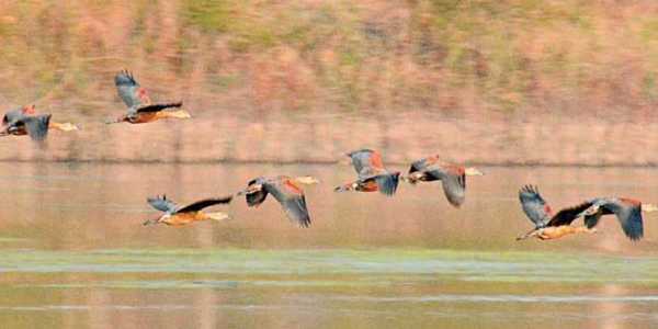 Modern english essay picture