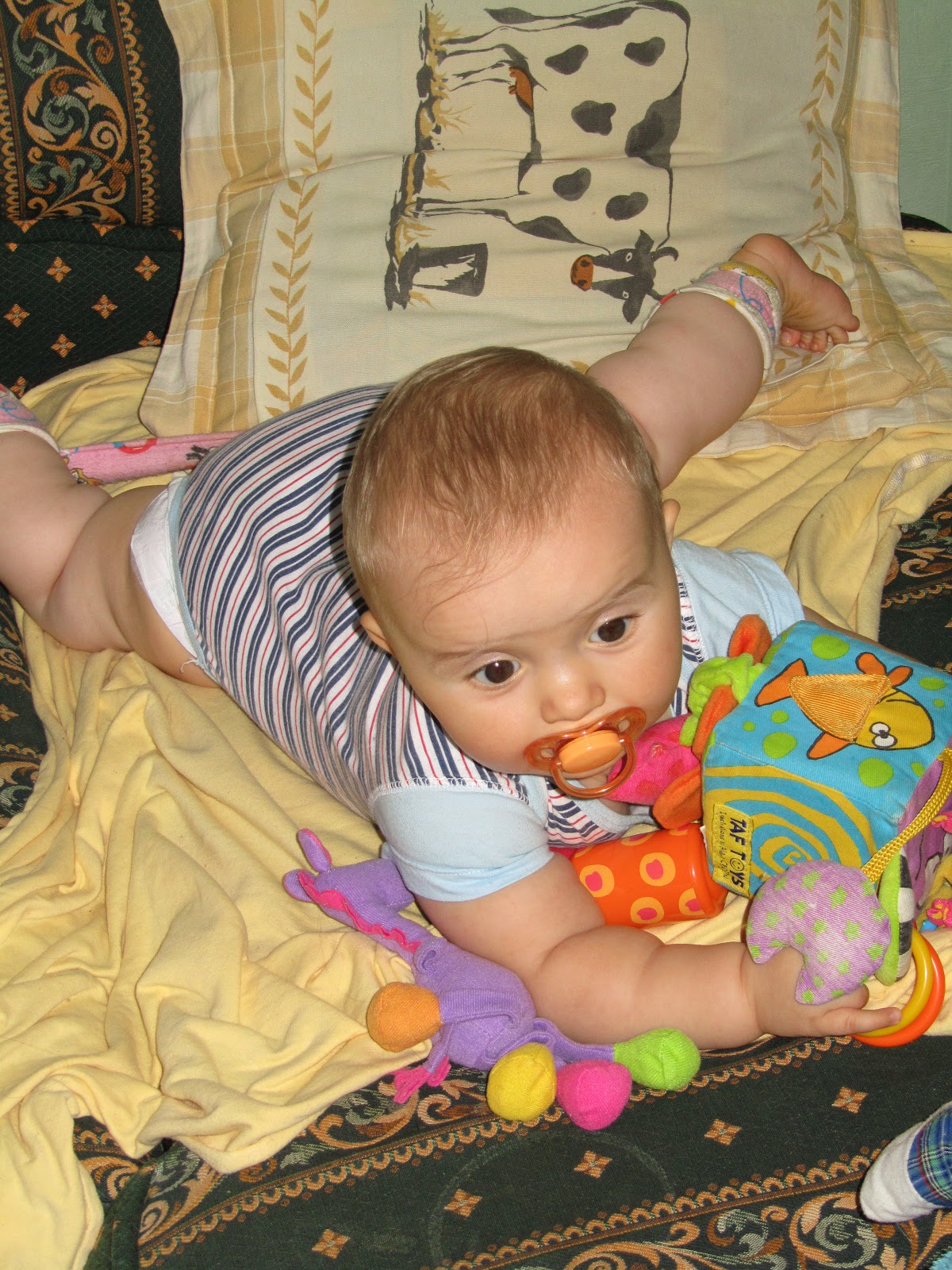 Дети рождаются восьмимесячного ребенка. Девушка с восьмимесячным ребенком. Восьмимесячный ребенок мальчик. Дети рождаются восьмимесячного ребенка. Малышка.