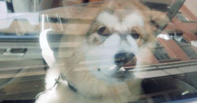 What Not To Do During Sale Season