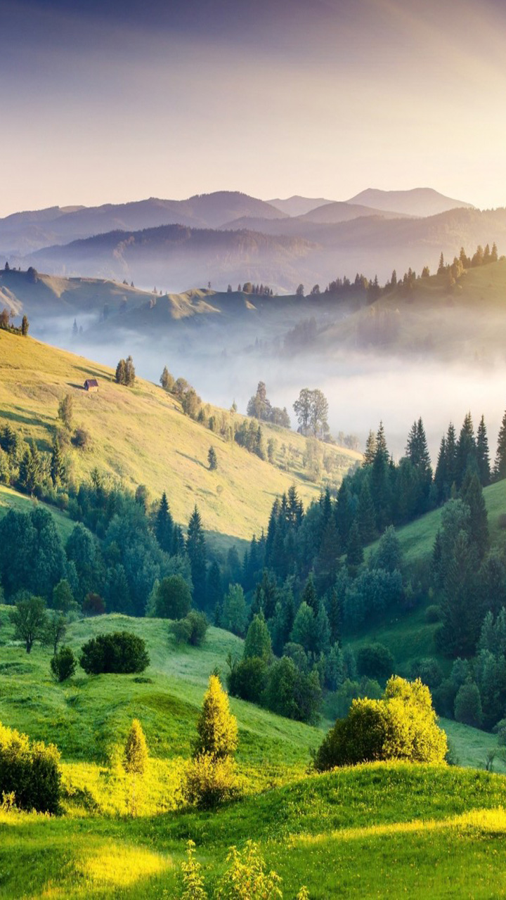 Wallpaper Natureza Celular HD