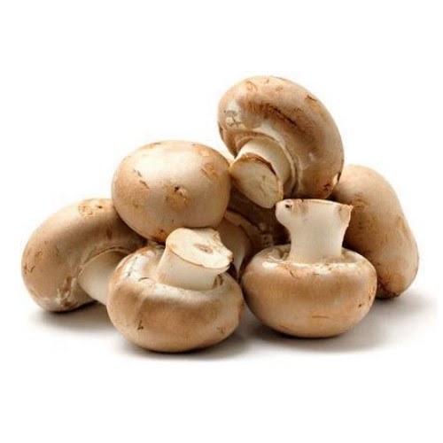 Oyster mushroom vs button mushroom nutrition Nutritional comparison