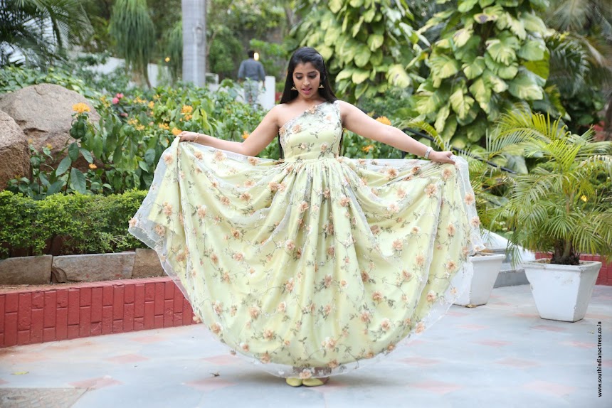 Anchor Shyamala at Naa Peru Surya success meet