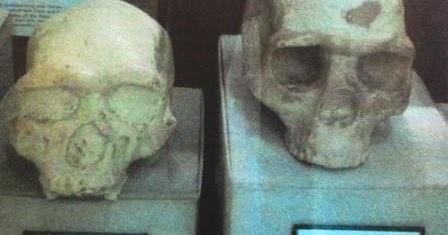 Pengertian Masa Praaksara Dan Kehidupannya