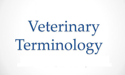 Veterinary terminology